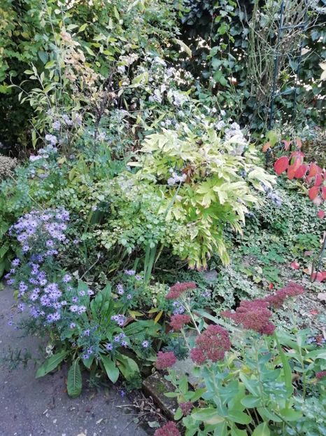  - Grădina 2019 sfârșit de sezon