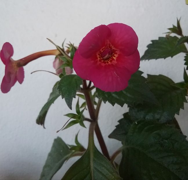  - Hard To Get-pierdut