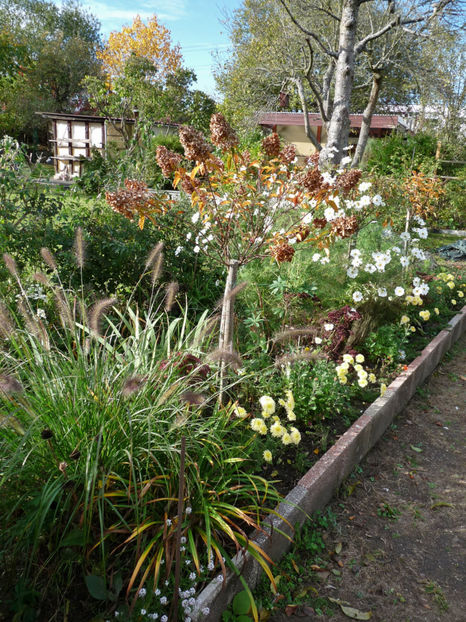  - 2019 - 03 - Toamna