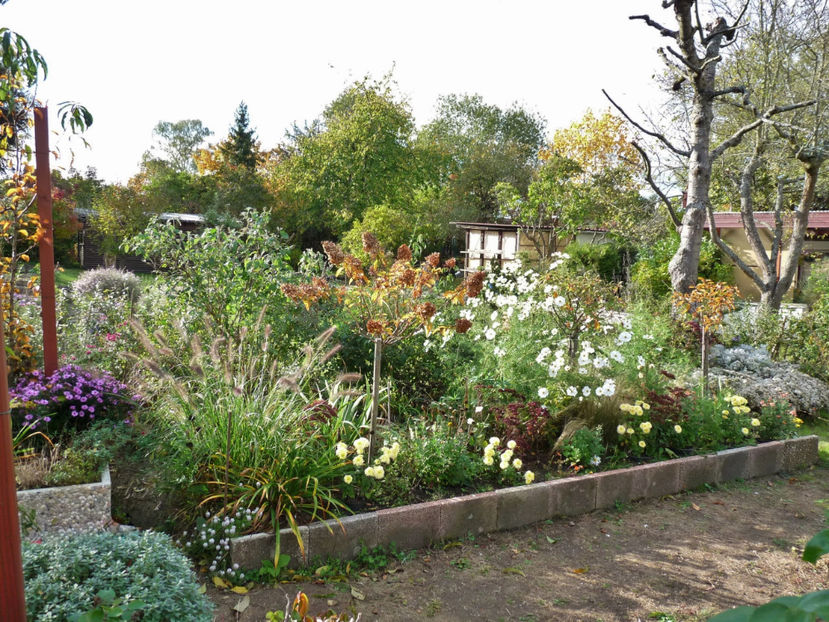  - 2019 - 03 - Toamna