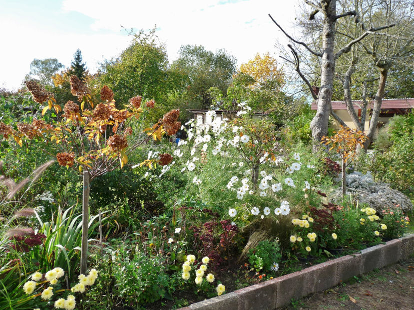  - 2019 - 03 - Toamna