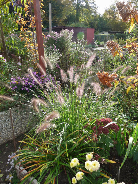  - 2019 - 03 - Toamna