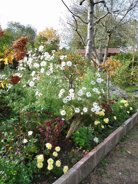  - 2019 - 03 - Toamna