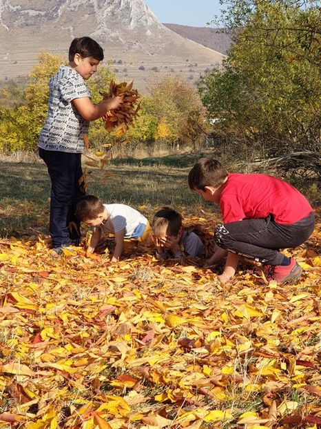  - 2019 EXCURSIE DE TOAMNA REMETEA 20 OCT