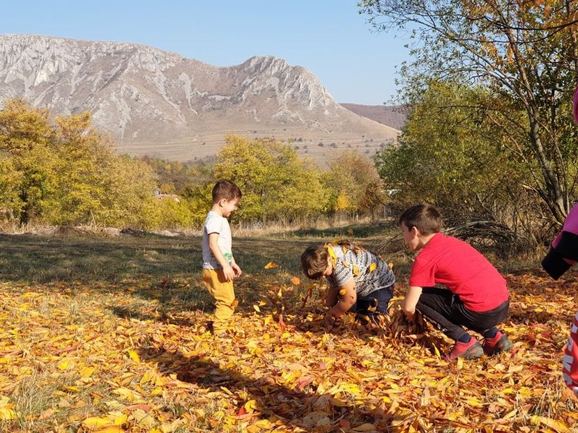  - 2019 EXCURSIE DE TOAMNA REMETEA 20 OCT