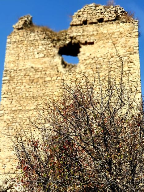  - 2019 EXCURSIE DE TOAMNA REMETEA 20 OCT