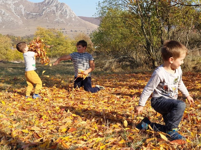  - 2019 EXCURSIE DE TOAMNA REMETEA 20 OCT