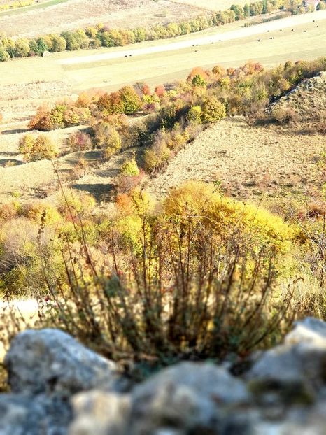  - 2019 EXCURSIE DE TOAMNA REMETEA 20 OCT