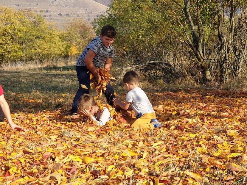  - 2019 EXCURSIE DE TOAMNA REMETEA 20 OCT