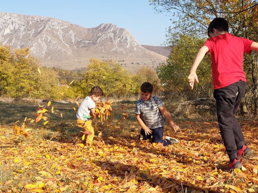  - 2019 EXCURSIE DE TOAMNA REMETEA 20 OCT