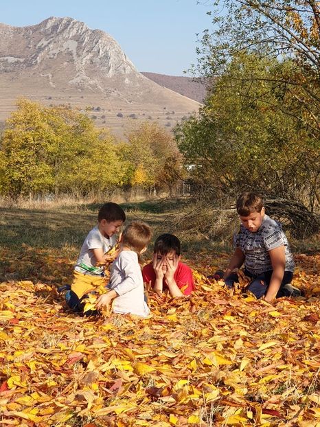  - 2019 EXCURSIE DE TOAMNA REMETEA 20 OCT