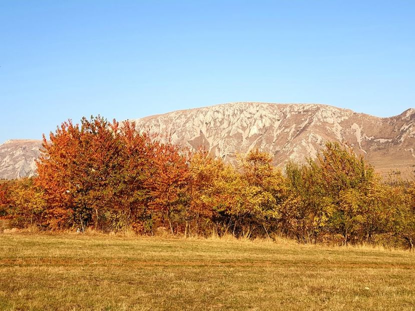  - 2019 EXCURSIE DE TOAMNA REMETEA 20 OCT