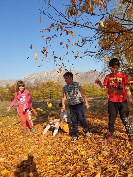  - 2019 EXCURSIE DE TOAMNA REMETEA 20 OCT