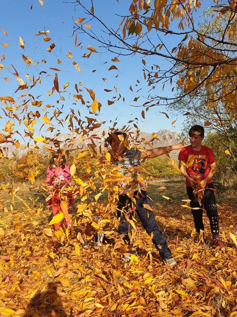  - 2019 EXCURSIE DE TOAMNA REMETEA 20 OCT