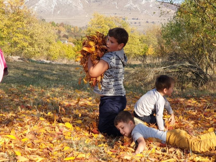  - 2019 EXCURSIE DE TOAMNA REMETEA 20 OCT