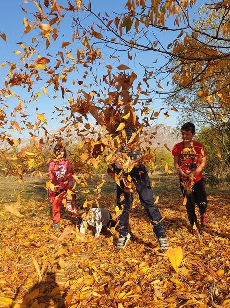  - 2019 EXCURSIE DE TOAMNA REMETEA 20 OCT