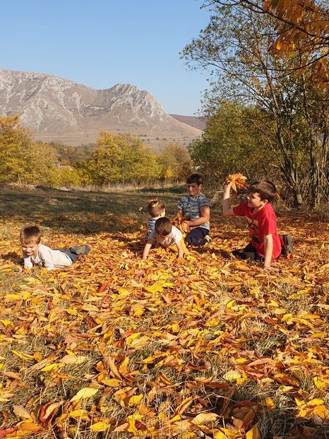  - 2019 EXCURSIE DE TOAMNA REMETEA 20 OCT