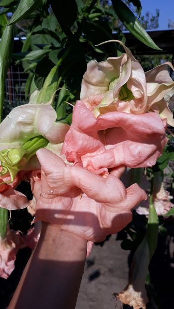  - Octombrie 2019