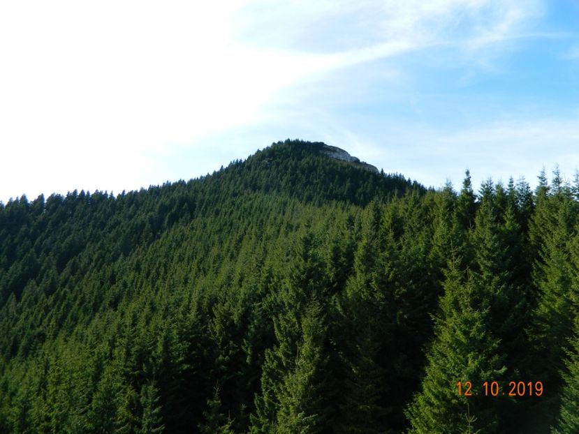  - CEAHLAU octombrie 2019-un loc de vis