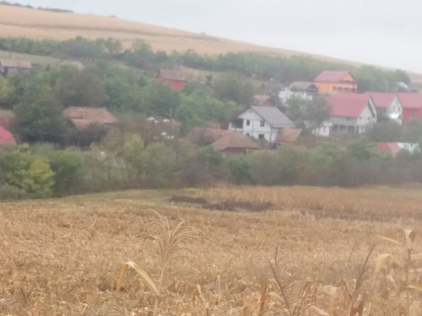  - Satu Nou