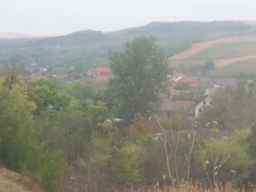  - Satu Nou
