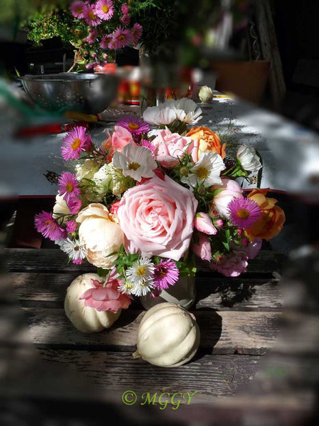 © - 01 - Floristica