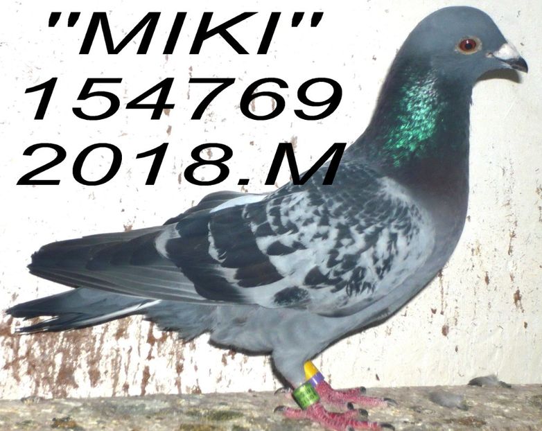 2018.154769 miky + - 2 MATCA 2020