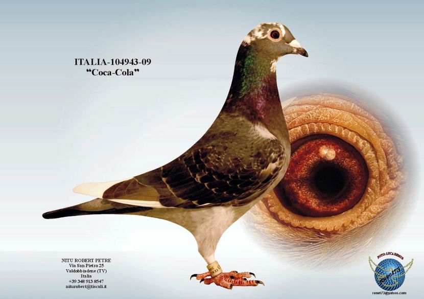 BUNICA DUPA TATA - SEVEN