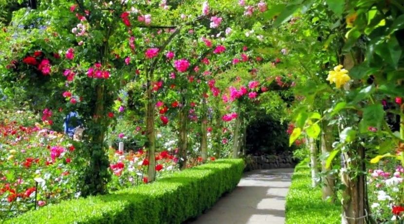 10-Most-beautiful-gardens-of-the-world-800x445 - traveling with the mouse