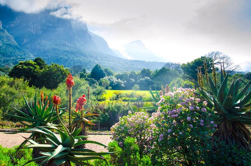 DFrow-The-10-Most-Beautiful-Gardens-in-the-World-Cape-Town - traveling with the mouse