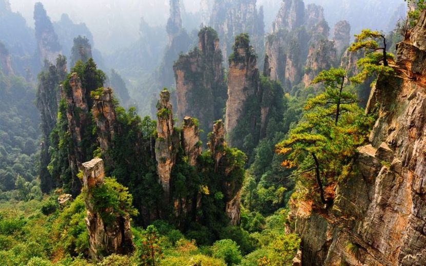 Most-photogenic-destinations-avatar-mountains-china-800x500 - traveling with the mouse