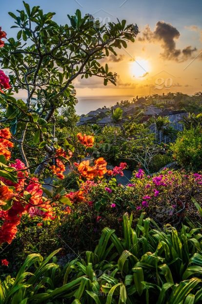 stock-photo-nature-sunset-tropical-indonesia-bali-tropical-vibes-bvlgari-hotel-bvlgari-resort-bali-b - traveling with the mouse