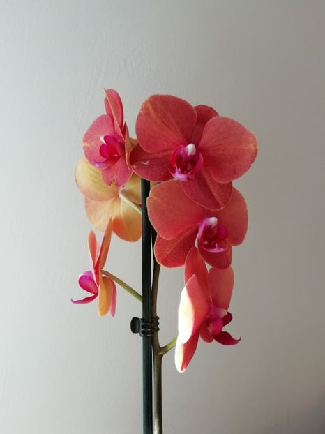 13.10 - Achizitii 2019