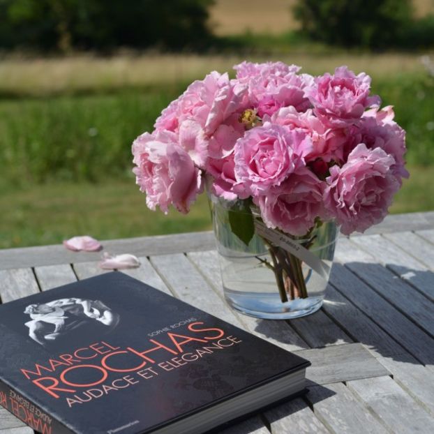 rosier_sophie_rochas_3_m - SOPHIE ROCHAS Delbard