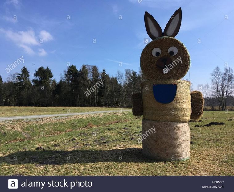 osterhase-aus-heu-ballen-in-der-nahe-von-worpswede-deutschland-n00mx7 - Cupa Crisana 2019