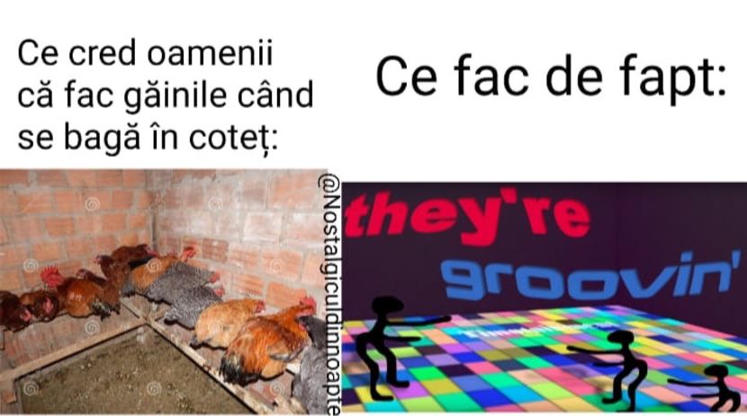 AFCBF4CF-5F1E-4E3F-9F55-D08E1397A2E1 - w i remember the rush