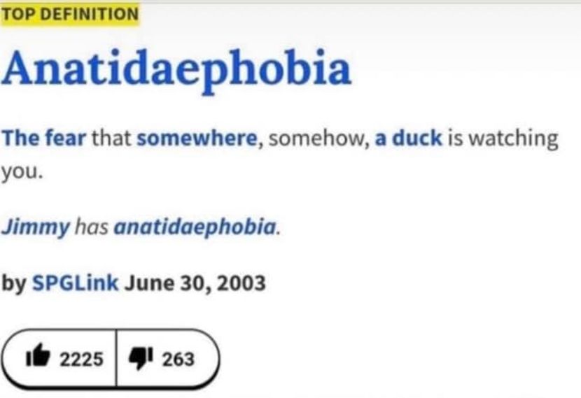 8E5C22E0-D0BA-4647-A47C-DA4EBCFD6435 - w i remember the rush