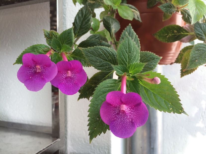 24.10.2019 - Jennifer Goode