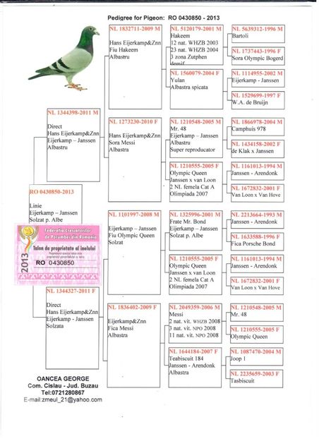 72964042_164252484655783_1234181856350437376_o - pereche 1