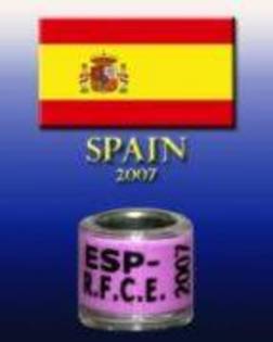 SPANIA - I-inele din Europa