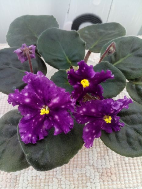 16 oct - Making Waves