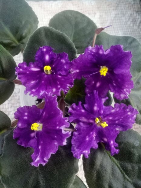 24 oct - Making Waves