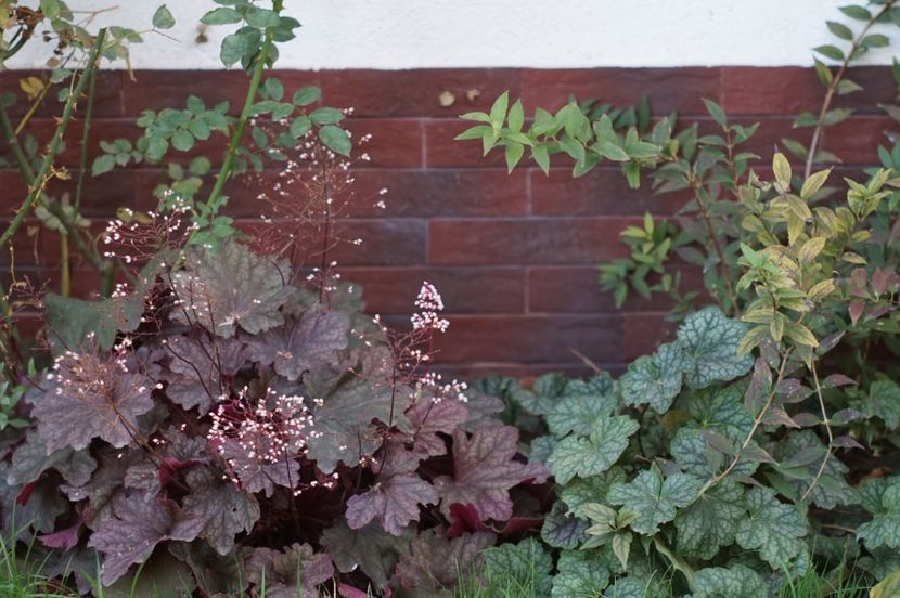  - OCTOMBRIE 2019- OCTOMBRIE 2020