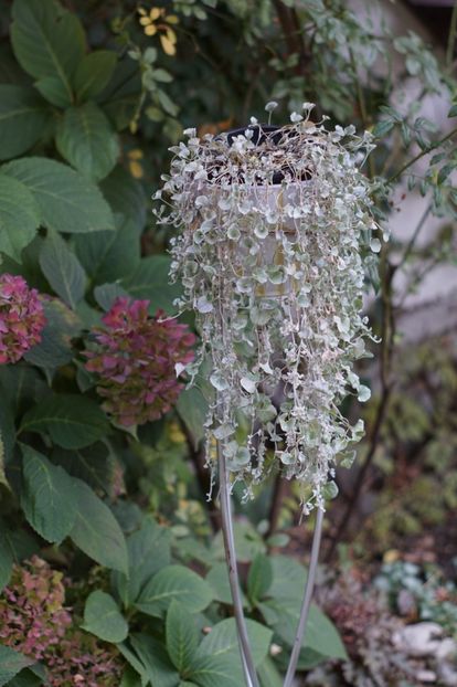  - OCTOMBRIE 2019- OCTOMBRIE 2020