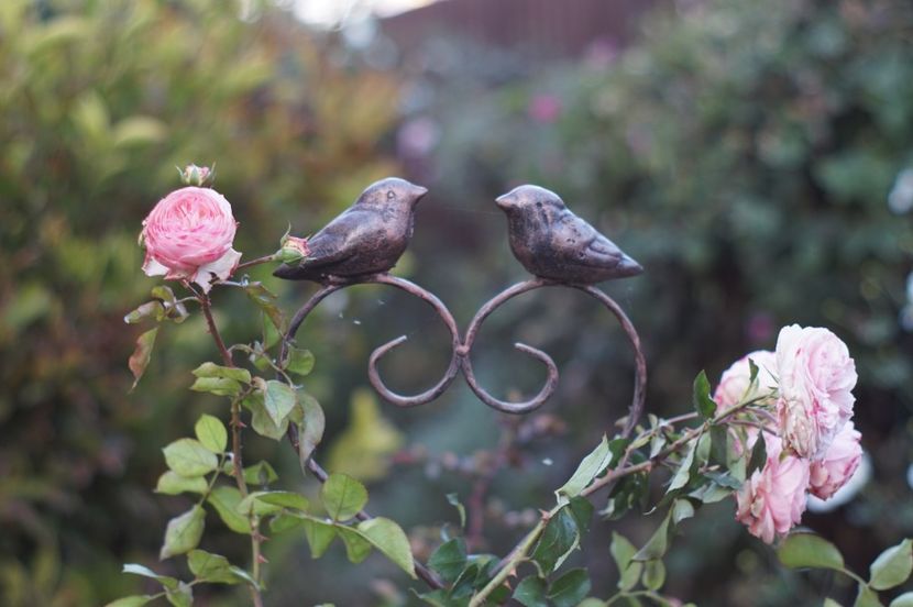  - OCTOMBRIE 2019- OCTOMBRIE 2020