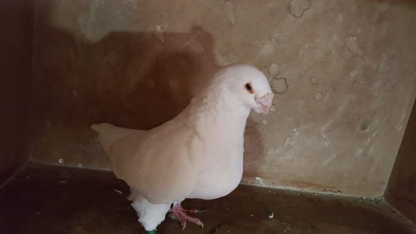 1-0 H  2013 - POZE SUPLIMENTARE