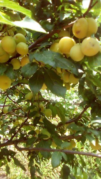 IMG-20190616-WA0012 - 2019