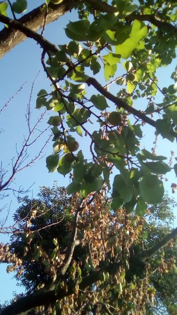 IMG-20190616-WA0026 - 2019