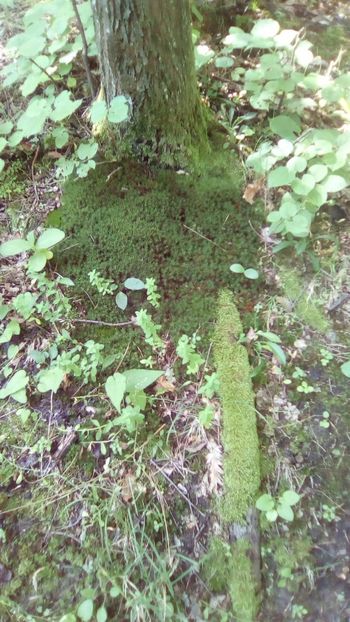 IMG-20190619-WA0002 - 2019