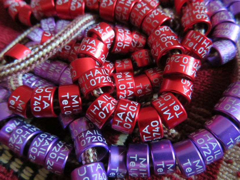  - Inele personalizate